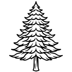 Cedar line art vector