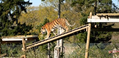 Selection of photos i took