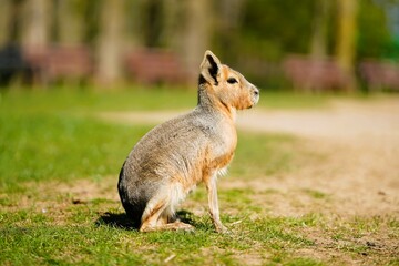 Selection of photos i took