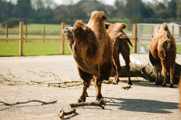 Selection of photos i took