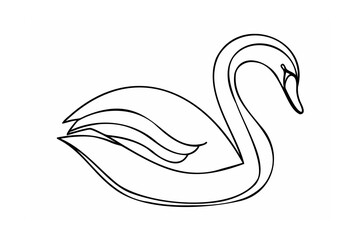 Elegant swan graceful water bird vector