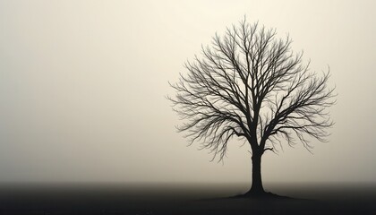Solitary Leafless Tree Silhouette Against a Misty Monochrome Background