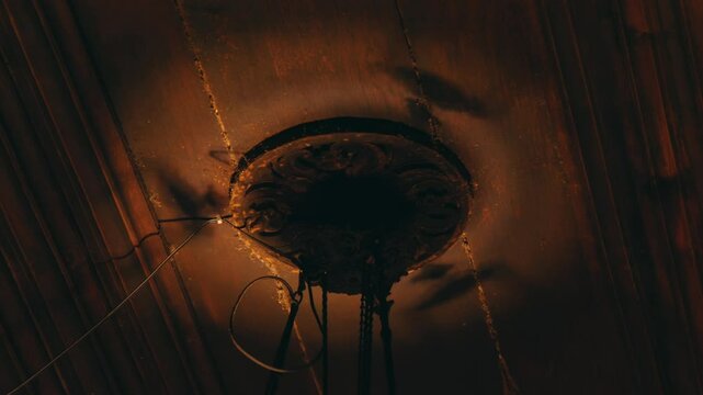 Ornate Ceiling Fixture with Shadows