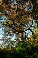 Nature shots, taken on a autumn morning.