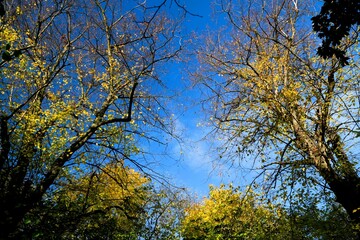 Nature shots, taken on a autumn morning.