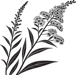 goldenrod flowers vector illustration transparent background