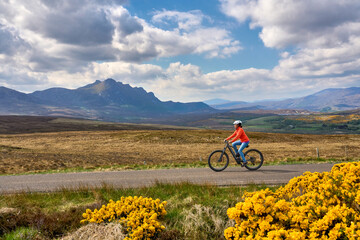 nice senior woman riding her electric mountain bike between blooming gorse in the highlands at the...