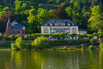 Beautiful Riverside Villas Along the Neckar River in Heidelberg, Germany