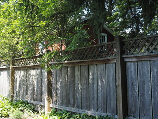 The green trees are growing over the wooden fencce.