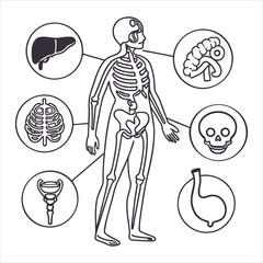 medical-organs-line-icon-set--vector-pictograms-of