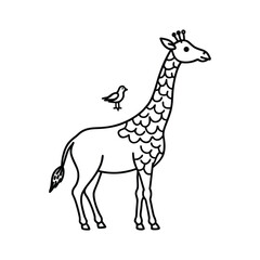 giraffe vector illustration