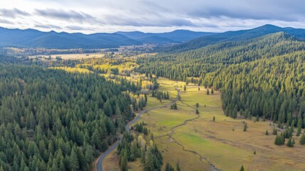 Aerial View of Lush Evergreen Forests and Rolling Hills Under a Cloudy Sky in a Scenic Landscape of Natural Beauty and Tranquility