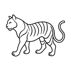 vector illustration of a tiger