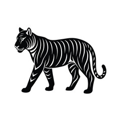 Tiger isolated on white background