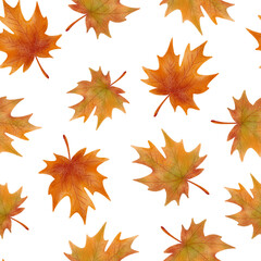 Fototapeta premium Seamless pattern of yellow maple leaves scattered across the surface. Watercolor style adds softness and natural charm, perfect for autumn-themed designs and seasonal decor.