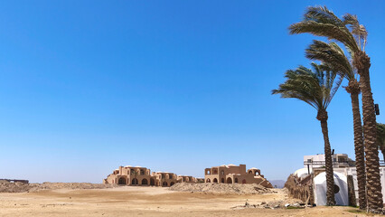 Desert landscape of Egypt with palm trees and ruins of an abandoned hotel under a clear blue sky. The scene captures the arid environment.