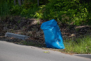 Single Blue Trash Bag on Curb