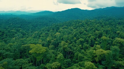 Obraz premium Expansive Aerial View of Lush Green Rainforest Canopy with Mountains in Background, Showcasing Diverse Ecosystem and Vibrant Nature Landscape