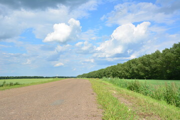 empty asphalt Road Leading into the Distance Under a Cloudy Sky