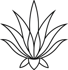 air plant icon vector line art on transparent background