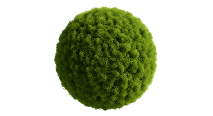 Green moss sphere