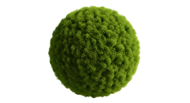 Green moss sphere
