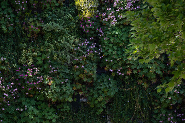 Vertical Green Wall with Flowering Plants