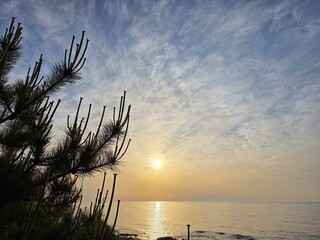 Early dawn, horizon sunrise, beautiful natural sunrise dawn seascape background, Yeongdeok, South...
