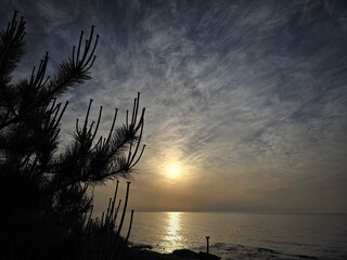 Early dawn, horizon sunrise, beautiful natural sunrise dawn seascape background, Yeongdeok, South...