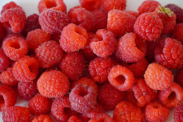many ripe red berry raspberry harvest agriculture background texture