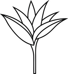 bird of paradise plant icon vector line art on transparent background