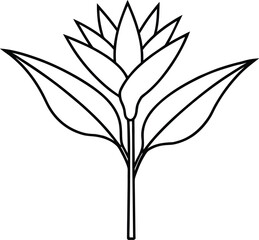 bird of paradise plant icon vector line art on transparent background