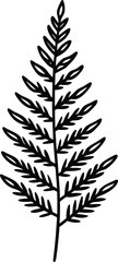 boston fern icon vector line art on transparent background
