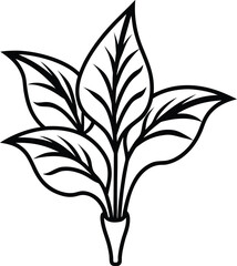 dieffenbachia icon vector line art on transparent background