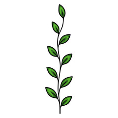 Elegant vector illustration of a stylized green plant with multiple leaves, perfect for adding a touch of nature to your designs.