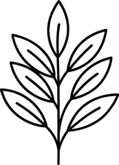 herbs icon vector line art on transparent background
