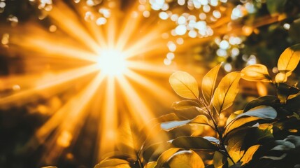 Radiant Sunlight Streaming Through Green Leaves in a Lush Forest, Creating a Warm and Inviting Atmosphere of Nature's Beauty and Serenity