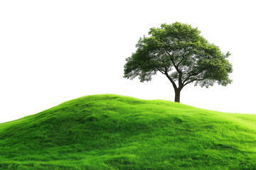 Fototapeta premium Green Grass Forest on Hill Panorama Isolated on Transparent Background