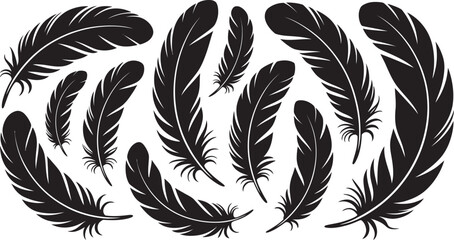 feather vector illustration