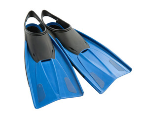 swim fins isolated on a transparent background.	