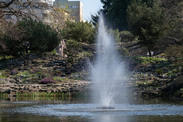 Fountain in Botanical Garden with Terraces and Spring Trees