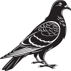 Fototapeta premium vector illustration of a pigeon