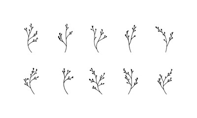 Curved Line Botanical Drawing. A minimalist botanical element with elegant curves in one-line drawing style, ideal for modern decor, natural branding, and soft design themes.