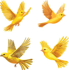 Cute Canary bird flying vector style on white background