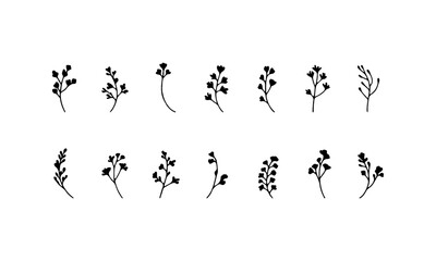 Wild Herb Sketches. A minimalist set of herbs and foliage sketched in soft, clean lines, great for natural or rustic design themes.