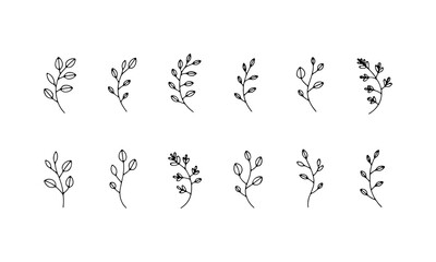 Bold Leafy Botanical Illustration. A black silhouette illustration of a stylized symmetrical leaf with clean lines, ideal for modern prints, branding, and decorative design.