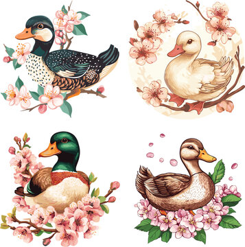Duck with charry blossom flower vector style on white background
