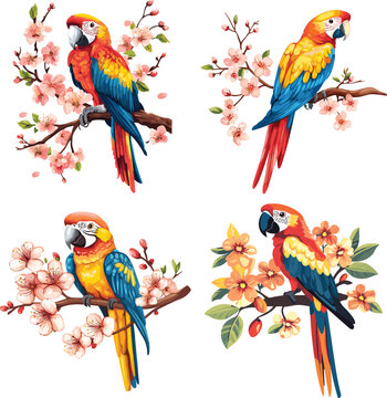 Macaw with charry blossom flower vector style on white background
