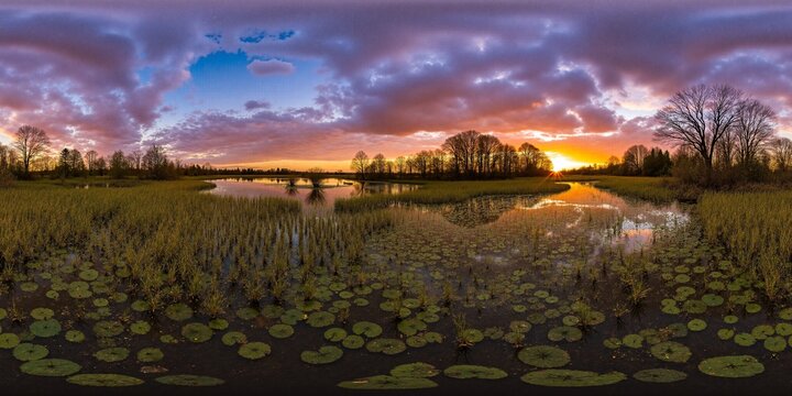 A swamp, dramatic sunset - Equirectangular 360 degree landscape
