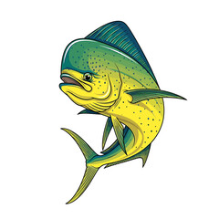 Illustration of a vibrant mahi-mahi fish with detailed fins and scales, set against a clean white background.